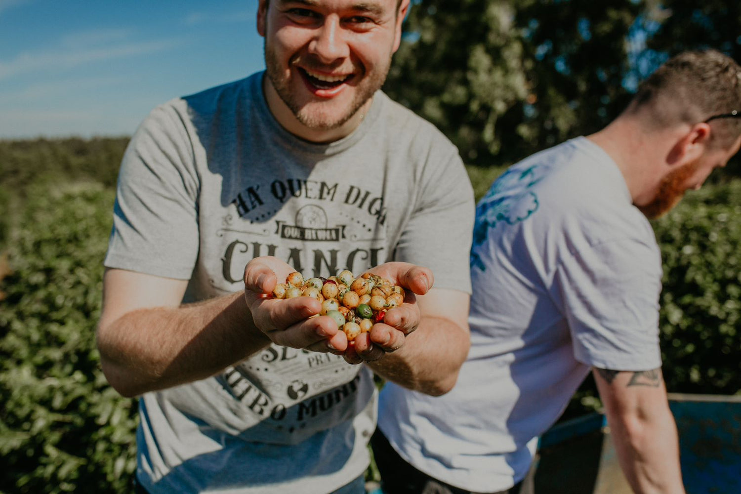 From Bean to Cup: Colm's Unforgettable Journey to Brazilian Coffee Farms