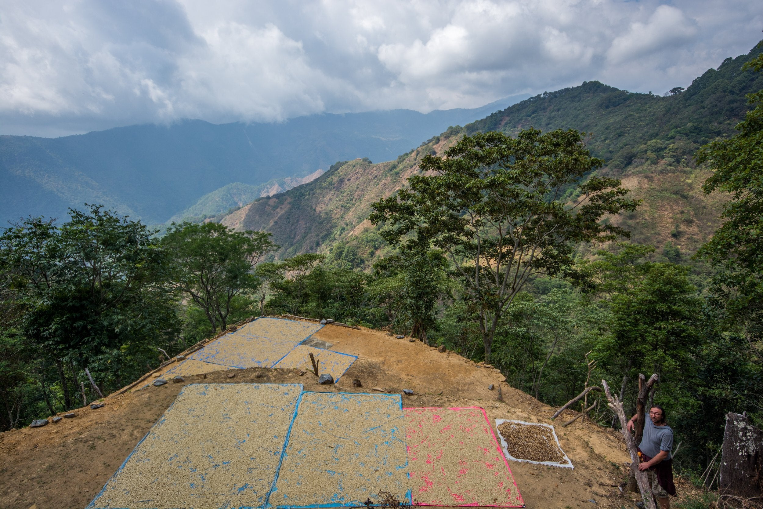 Drying in Ozolotepec.jpg