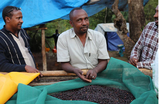 ETHIOPIA - Beshasha, Mustefa Abakeno - STAR LOT