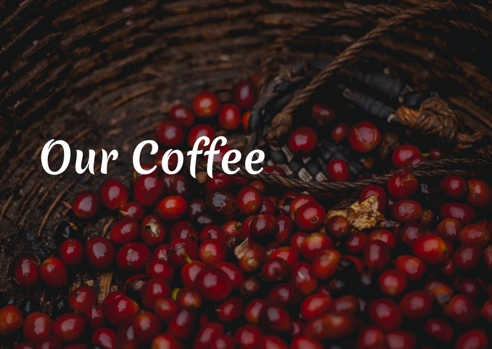 EL SALVADOR - Ahuachapán