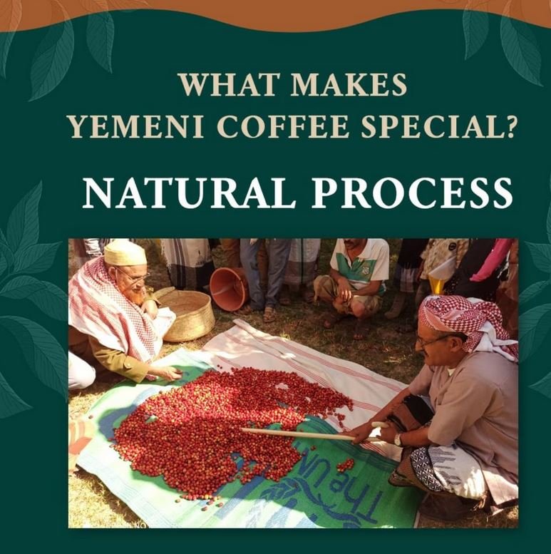 yemen coffee-1.JPG