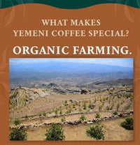 yemen coffee-2.JPG