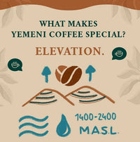 yemen coffee-3.JPG